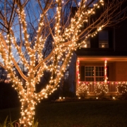 Christmas-Tree-Lights
